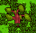 Thumbnail for version as of 19:56, 9 October 2026