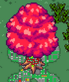Thumbnail for version as of 19:54, 9 October 2026