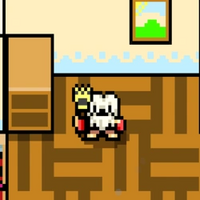 Npc & Quests