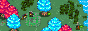 Centraldataforest.png