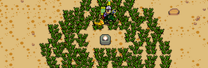 Gearcanyoncenter.png